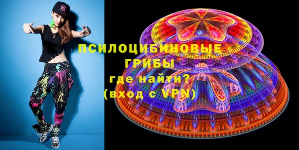 тгк Алексин