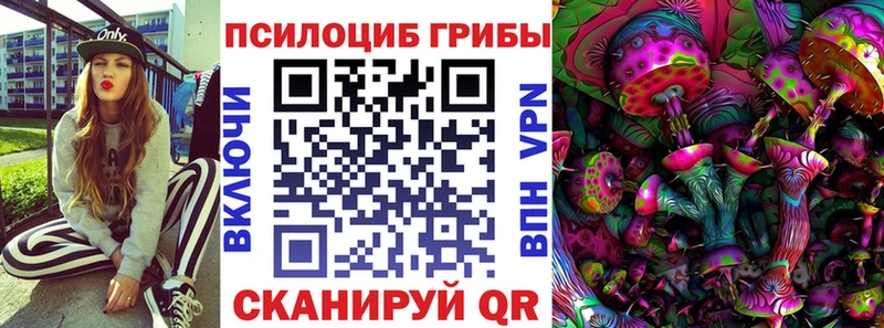 Псилоцибиновые грибы Psilocybine cubensis  наркота  Харабали 